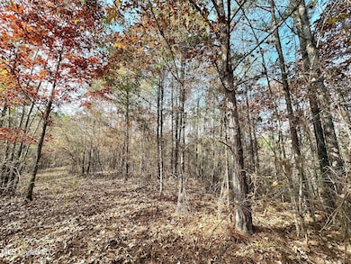 4 County Road 3122, McCool, MS 39108 - photo 3