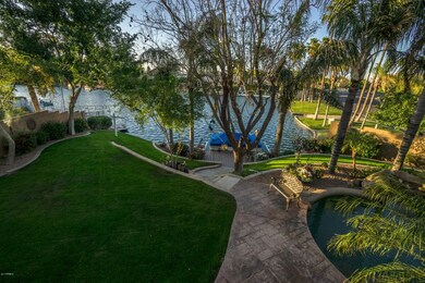 Tropical backyard