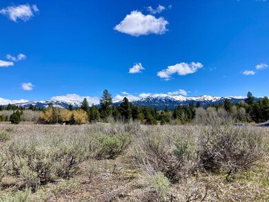 Panoramic Views
