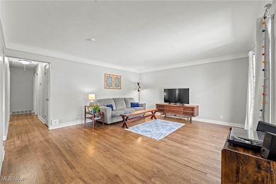Living room featuring attic access and light wood-type flooring