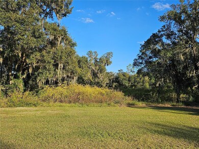 18927 Boyette Rd, Lithia, FL 33547 - photo 4
