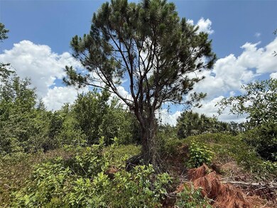 0 Snug St unit MFROK225184, North Port, FL 34286 - photo 5