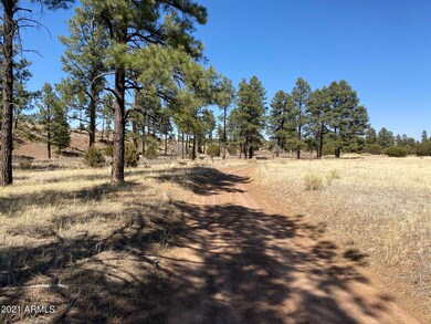 0 Lodge Rd unit 6321486, Aripine, AZ 85933 - photo 4