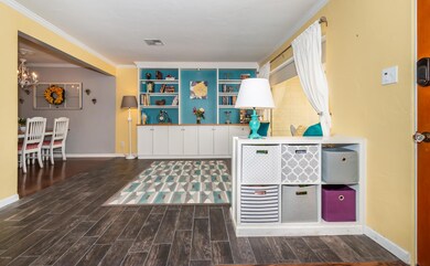 Natural Sunlight in Family Room