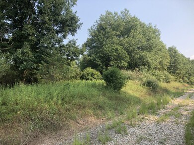 487 Lincoln Lake Ave SE, Lowell, MI 49331 - photo 6