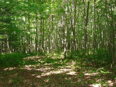 15 Taylor Ln, Whitingham, VT 05361 - photo 7