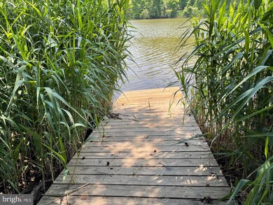 1133 Lake Heron Dr unit 3A, Annapolis, MD 21403 - photo 4