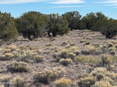 Lot 338 Sierra Highlands Ranch -- unit 338, Saint Johns, AZ 85936 - photo 2