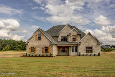 4742 Taylor Trail, Hernando, MS 38632 - photo 3