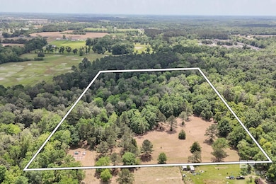 0 Pearson Ln, Robertsdale, AL 36567 - photo 2