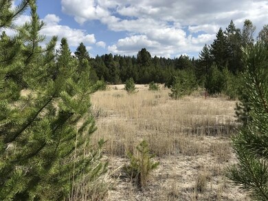 Nice and Level With Lots of Small Trees