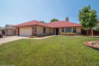 Landscaped Yard