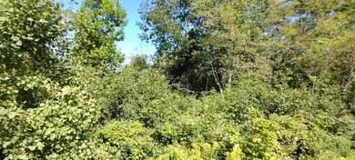 IMG_20230901_103719994