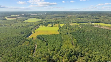 Lot 4 WoMacK Rd, Nichols, SC 29581 - photo 7