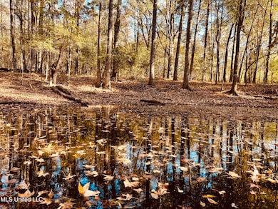 0 Mayer Rd, Bentonia, MS 39040 - photo 4