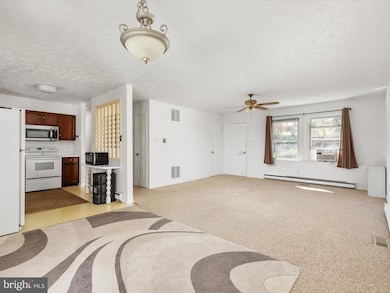 277 Dismal Hollow Rd, Front Royal, VA 22630 - photo 4