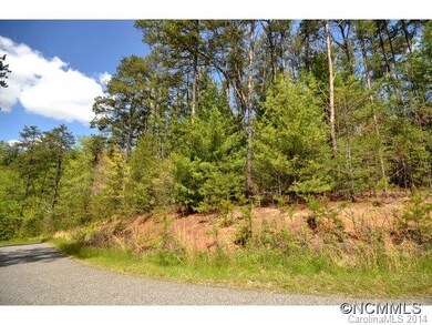 50 Cane Brook Dr unit 10, Leicester, NC 28748 - photo 4