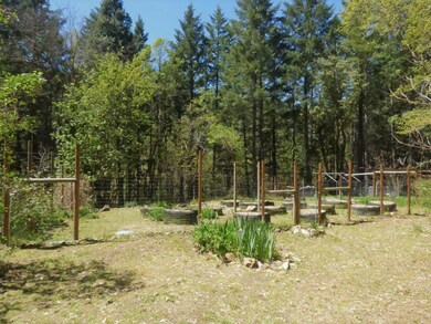Garden Area