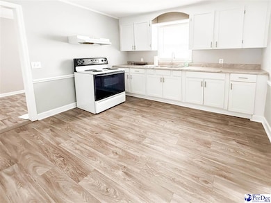 908 James St, Dillon, SC 29536 - photo 4