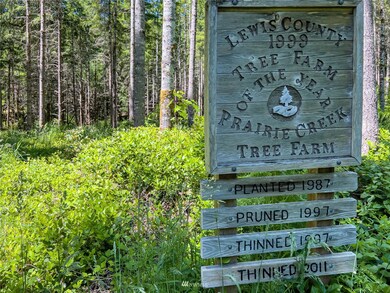 0 XXX Bunker Creek Rd, Chehalis, WA 98532 - photo 7