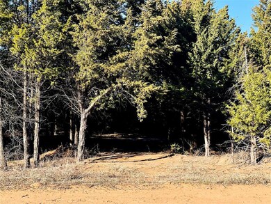 3E Forest Hills Dr, Gordonville, TX 76245 - photo 7