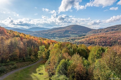 105 Stewart Rd, Roxbury, NY 12421 - photo 5