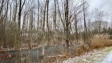 23 Jordan Way, Oswego, NY 13126 - photo 4