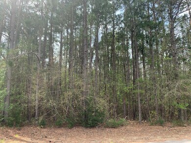 6000 James Rd, Albany, GA 31705 - photo 4