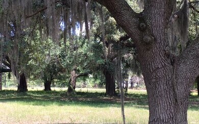 0 Amadillo Ln unit 94332, Lake City, FL 32055 - photo 4