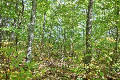 Maine Land for Sale in Frankfort, Maine