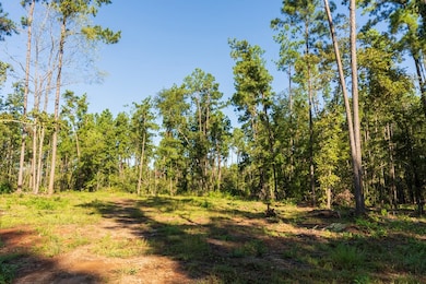 24398 Lot 17 Fm 3173, Broaddus, TX 75929 - photo 3