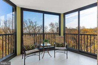 5901 Mount Eagle Dr unit 812, Alexandria, VA 22303 - photo 3