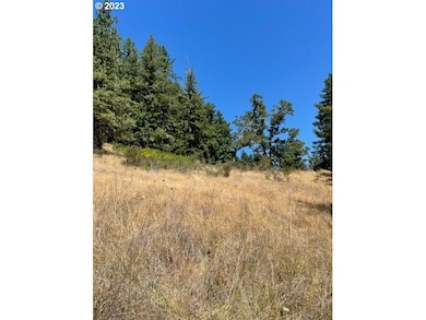 0 Harolds Rd unit 23451364, Dexter, OR 97431 - photo 6