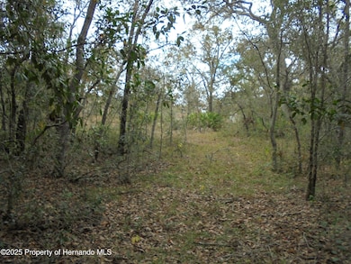 0 Fiscus Dr, Shady Hills, FL 34610 - photo 3