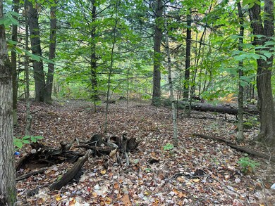 tbd Flat Ground, Acton, ME 04001 - photo 3