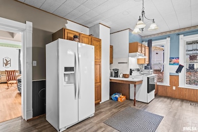 203 W Sheridan Rd, Petersburg, IL 62675 - photo 7