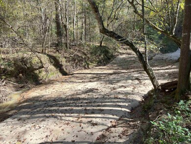 TBD (W. 180 Ac) Tunica Trace, St. Francisville, LA 70775 - photo 4