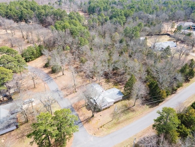 0 Pauls Ln, Conway, AR 72034 - photo 6