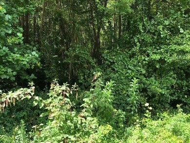 20.238 Brewer Rd, Louisburg, NC 27549 - photo 4