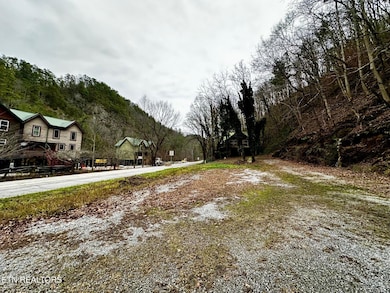 0 Cherohala Skyway unit 1323523, Tellico Plains, TN 37385 - photo 3