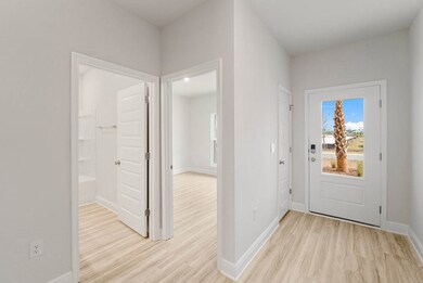 167 Needle Rush Dr, Port St. Joe, FL 32456 - photo 6