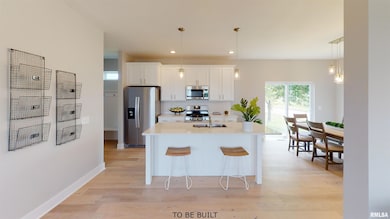 210 18th Ave, Moline, IL 61265 - photo 3