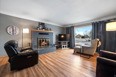 Living room featuring crown molding, wood-type flo