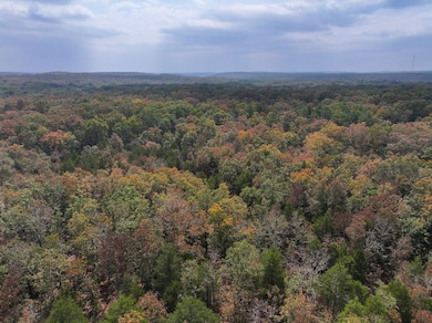 Off Hwy Dd unit Lot WP001, Farmington, MO 63640 - photo 4