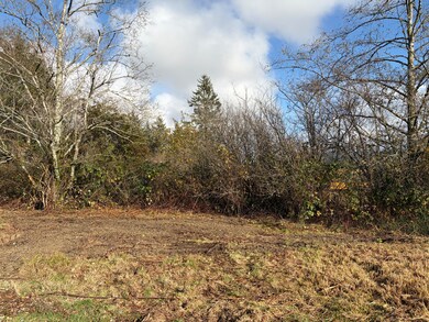 TL#2400 Alderbrook Rd, Tillamook, OR 97141 - photo 4