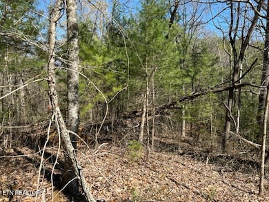 864 Stonegate Way, Townsend, TN 37882 - photo 7