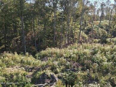 DJI_20241007101311_0024_V
