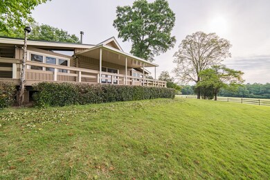 back porch/yard