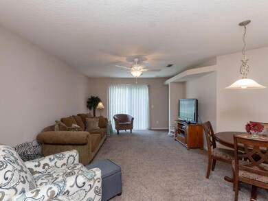 Living Room View