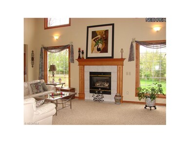 420 Walnut Ridge Trail, Aurora, OH 44202 - photo 2